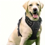custom tactical vest medium large outdoor Breathable Adjustable No-Pull dog leash pet harness