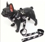 3Takins pet supplies quality brand new your own dog retractable slip lead Design Pet Collars leash set Designer dog harness