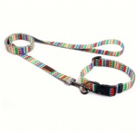 Personalized Brand Logo Sample Free Sublimation Printing Dog Collar And Leash Set