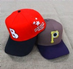 Fashion Adult 100% Cotton Structured 2 Tone Curved Brim 3D Embroidery Logo Baseball Caps Sports Hats