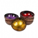 Coconut Shell Bowls/ Coconut Tabletop Accessories Bowl