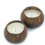 Luxury Customized Private Label Soy Wax Candle drake goop candle holders making flaming in coconut shell candle