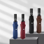 23 Inch 10 Panels 3 Fold Auto Open And Close Umbrella