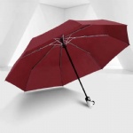 Folding Automatic Windproof Compact Travel Umbrella