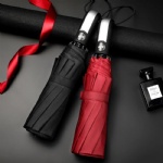 Hot Compact 10 Ribs 3 Fold Automatic Umbrella